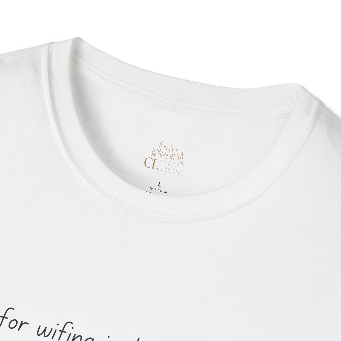 Not for wifey just one night flings T-Shirt