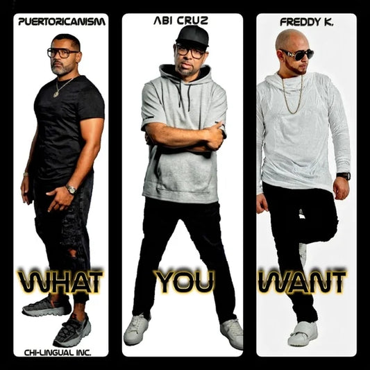 WHAT YOU WANT (FEAT ABI CRUZ & FREDDY K.) - Digital single